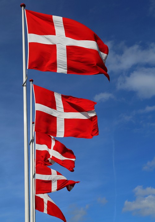 Dannebrog Flag : 8 meter flagstang.